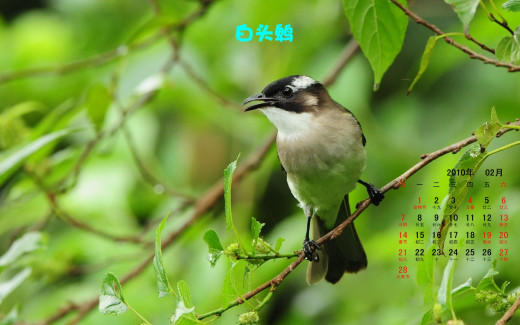 484632 (a): :1920x1200
